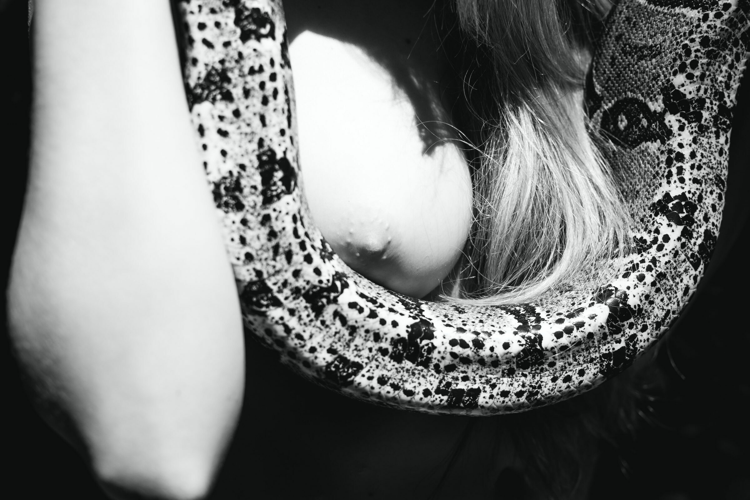 Foto de Diego Meneghelli 25