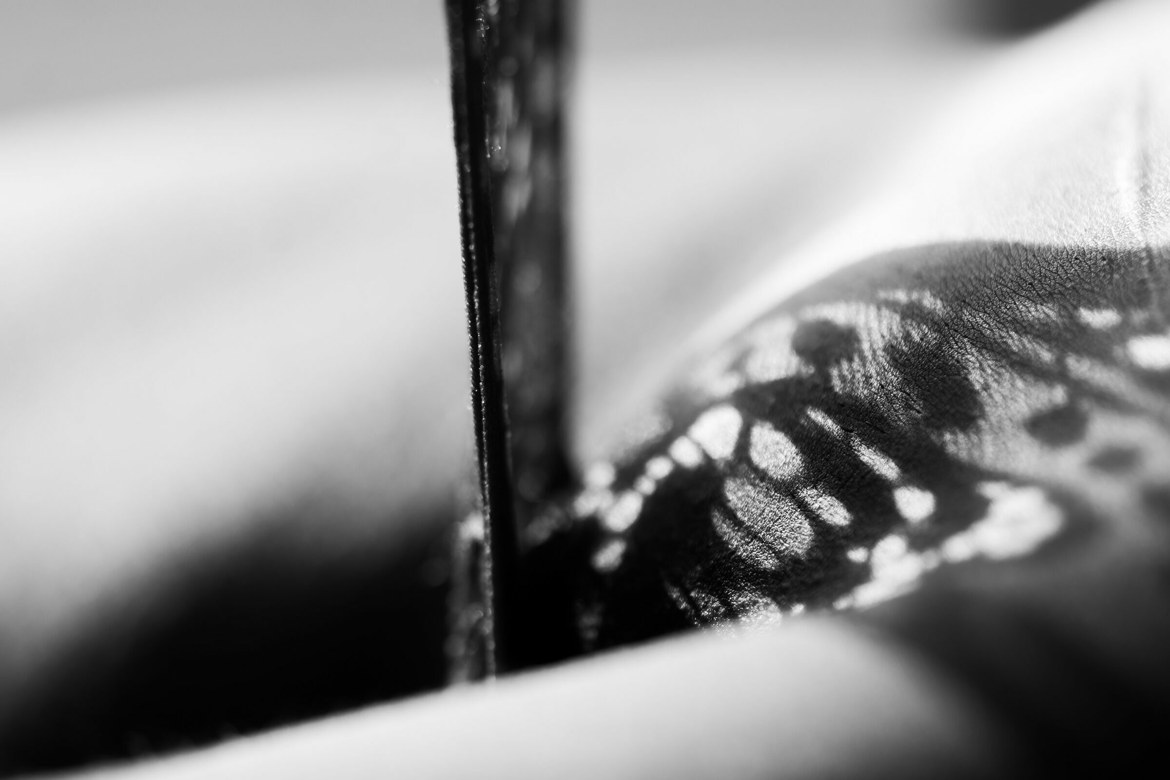 Foto de Diego Meneghelli 18